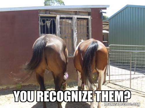 you-recognize-them-6b36651433