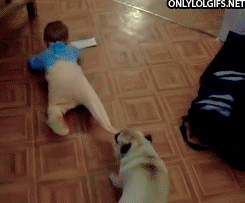 baby-and-dog
