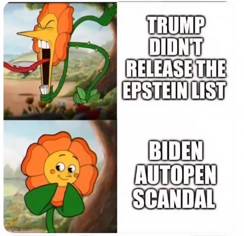 1000114267