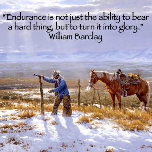 Turn it into glory