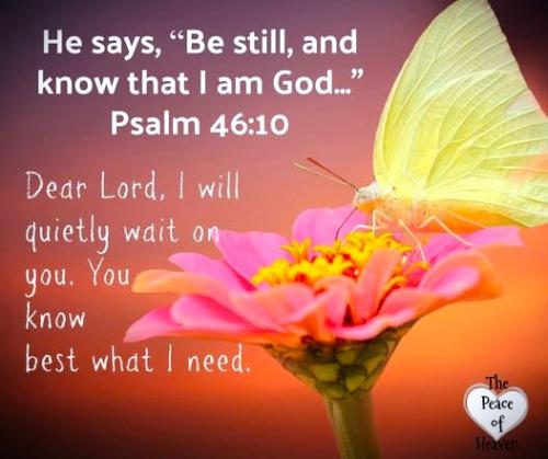 073125 - Be Still