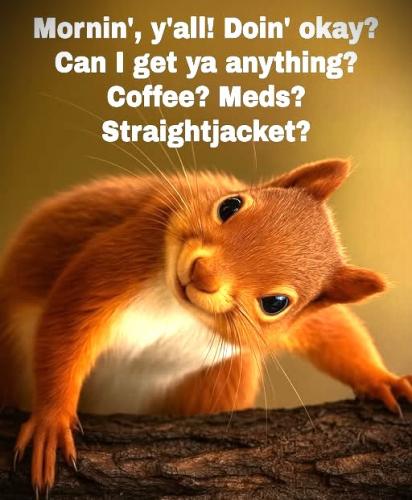 071725 - Morning Squirrel - straight jacket
