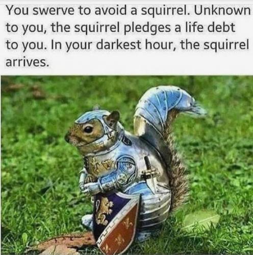 My Knight In Shining Armor dm