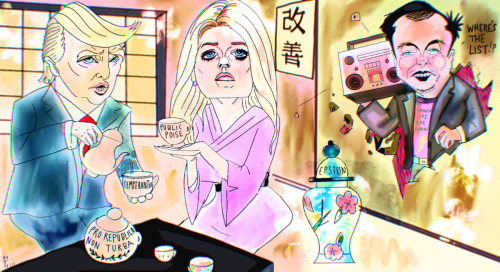 Political Cartoon Donald Trump Pam Bondi elon musk