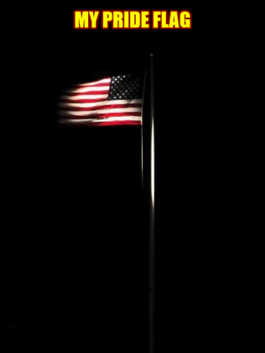 Flag - MY Pride Flag