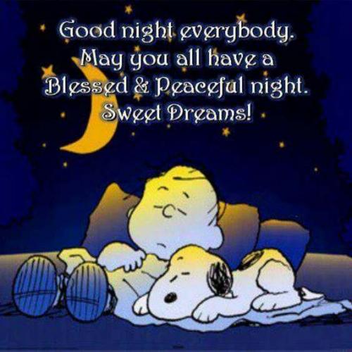 good-night-beautiful-meme