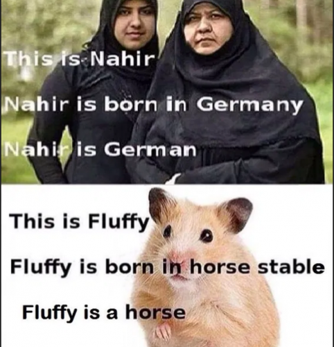 04.08.2025_08.45.10_REC