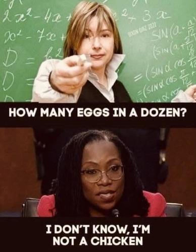 eggs