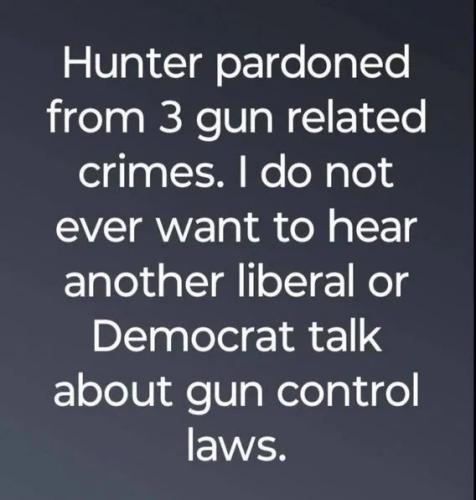 HUNTER GUN CHARGES 2