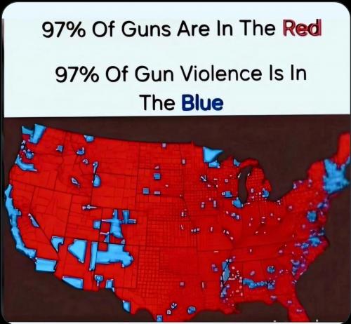 GUNS STATES