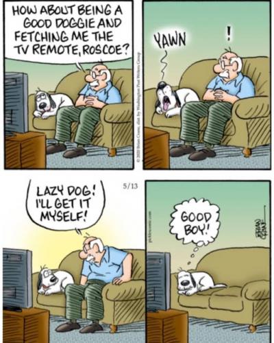 good boy
