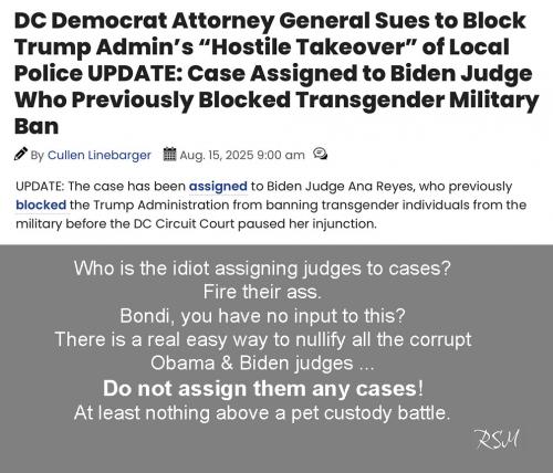 Dem judges nullify