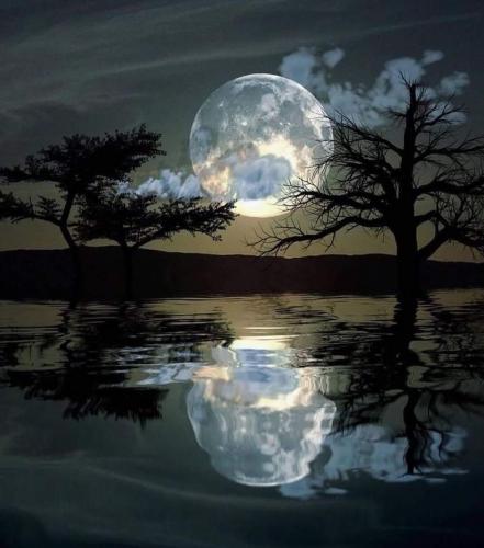 Good Night 55