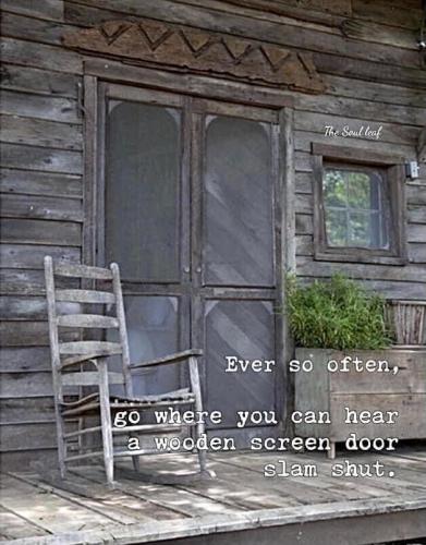 Screan door