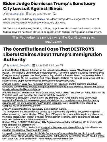 Biden idiot judge