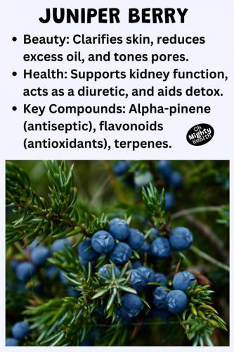 JUNIPER BERRY  AU