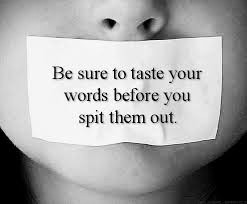 082625 - Taste your words, Proverb 17-28