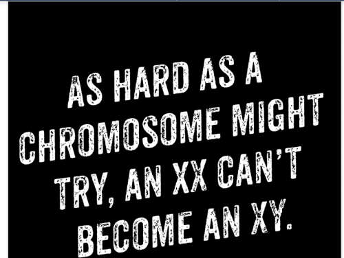 xxxy