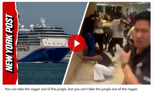 You can take the nigger out of the jungle video screenshot