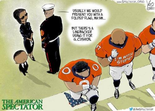 Cartoon - Folded flag and football