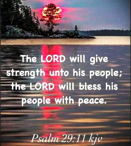 080125 - The Lord will give strength & peace Ps 29-11