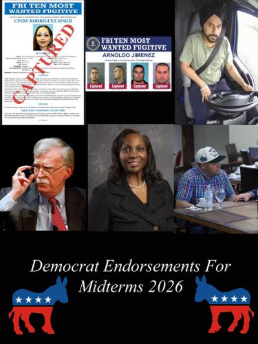 Dem mid-terms