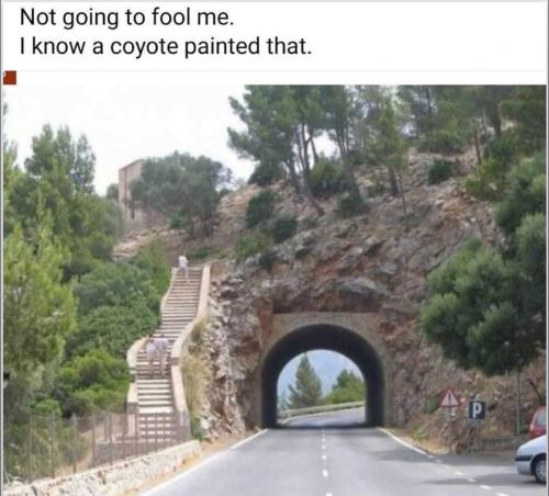 not
