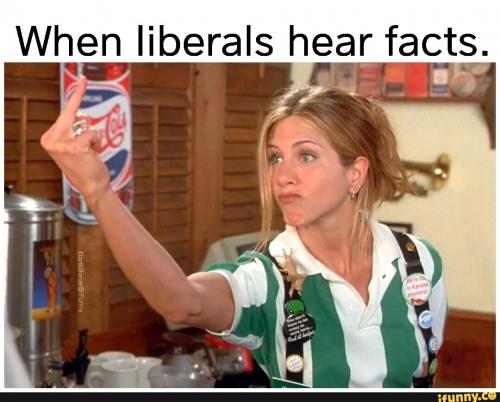 liberals copy 2