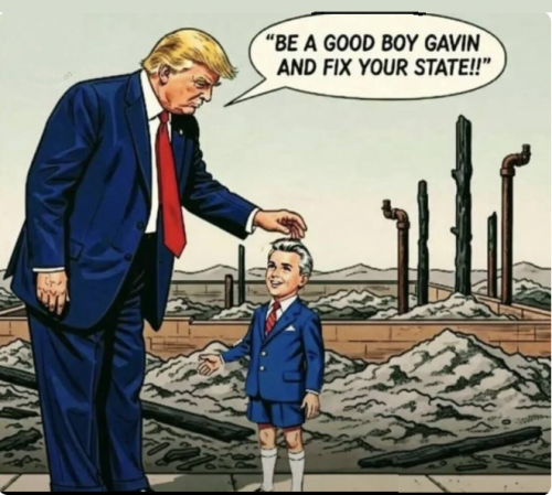 Good Boy Gavin