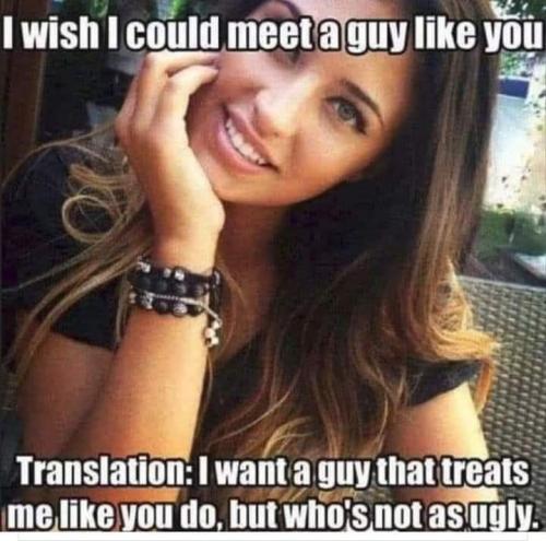 meet