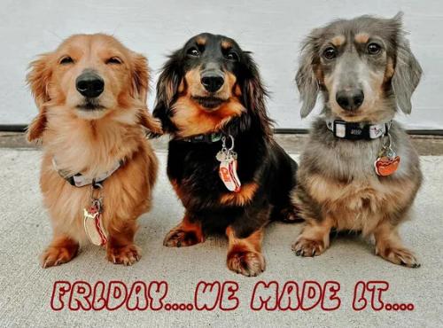 fcc52c0f6be3012311f5e49da9d45121