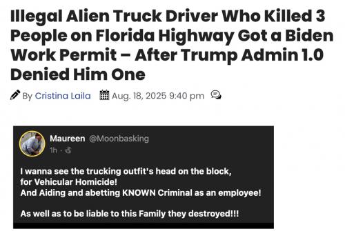 illegals trucking 31