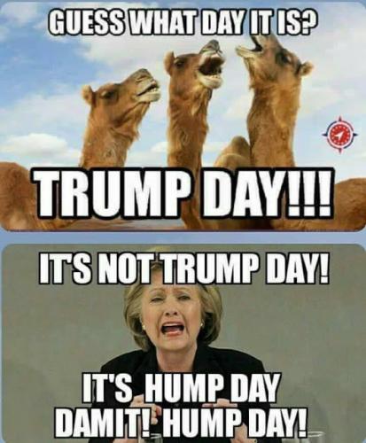 Hump_Day_Or_Trump_Day