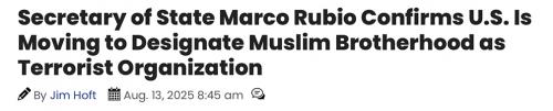 muslim bros terrorist