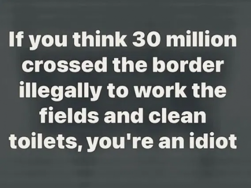IDIOT