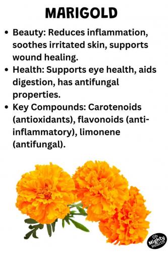 MARIGOLD  AU