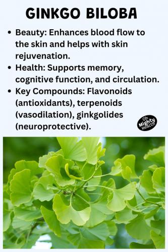 Ginkgo Biloba  au