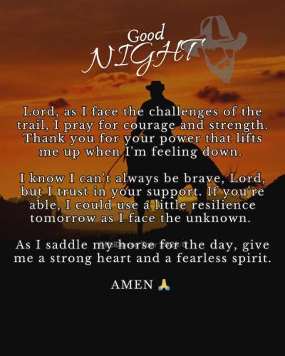 Good Night 111