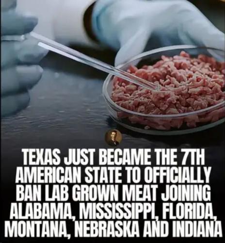 1000001579