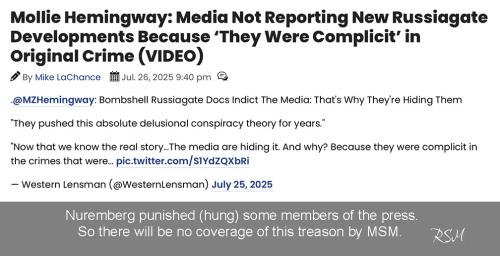 MSM complicit 03