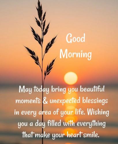 a7d44fc737a6565913fdc38d02b5418a