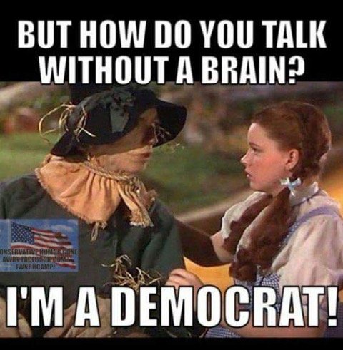 i'm a democrat