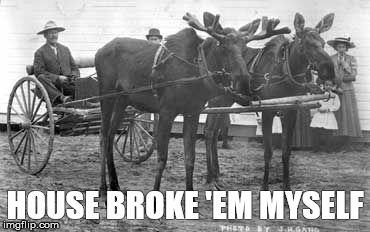 broke