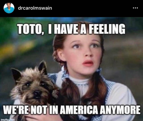 toto & dorothy
