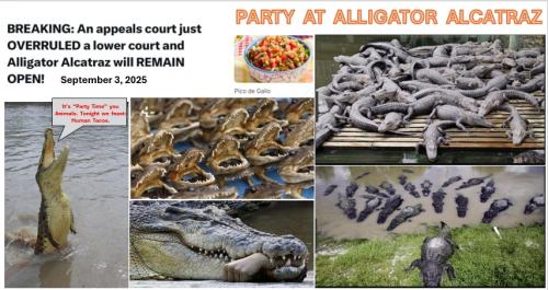 AlligatorAlcatrazPARTY