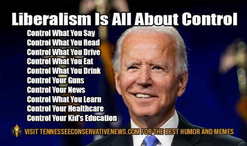 Liberalism-Is-All-About-Control-2467625976