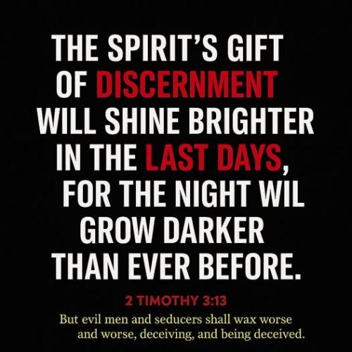 2 TIMOTHY 3  13