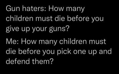 A REMINDER OF WHAT THE DEMONS SAY GUN HATERS