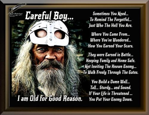 Viking ~Old Warriors~