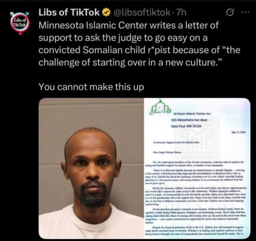 Rapist 9 - But many judges say, it’s not muslims' fault, it is in their demented, degenerated DNA.